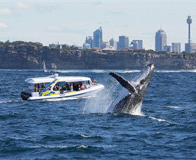 Bass & Flinders Cruises - Darwin Holiday 2