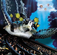 IMAX Theatre Sydney - Darwin Holiday