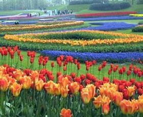 Botanica World Discoveries - Darwin Holiday 0