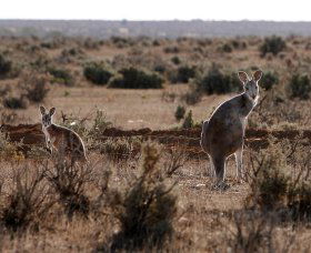 Silver City Tours - Darwin Holiday 1