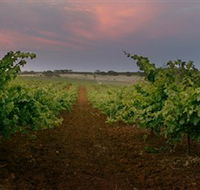 Wine Class - Darwin Holiday