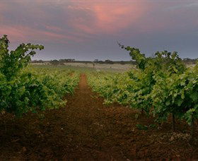 Wine Class - Darwin Holiday 0