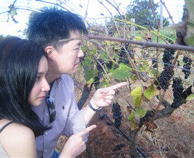 Wine Country Tours - Darwin Holiday 3