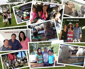 The NSW Cheese Tour - Darwin Holiday 0