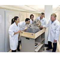 Behind the Scenes Tours at Australian Museum - Darwin Holiday