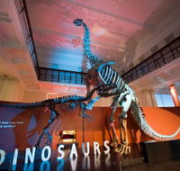 Australian Museum - Darwin Holiday