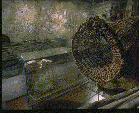 Australian Museum - Darwin Holiday 3