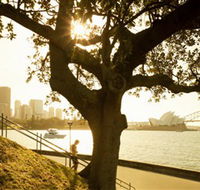 Royal Botanic Gardens and the Domain - Darwin Holiday