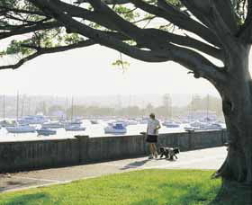 Sydney Harbour Circle Walk - Darwin Holiday 0