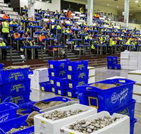 Sydney Fish Market - Darwin Holiday