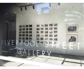 Liverpool Street Gallery - Darwin Holiday 0