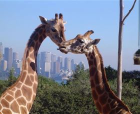 Parliament House NSW Darwin Holiday