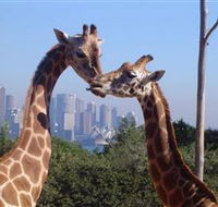 Planetdwellers - Gay and Lesbian Tours of Australia - Darwin Holiday