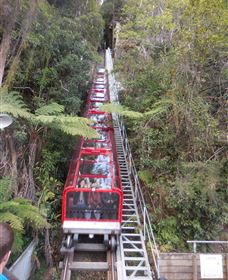 Country Charmâ„¢ Discovery Tours - Darwin Holiday 6