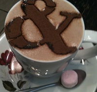 Ampersand Caf Bookstore Paddington - Darwin Holiday