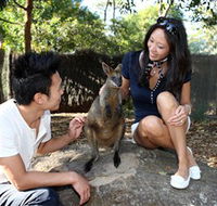 VIP Aussie Gold - Darwin Holiday