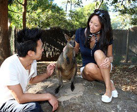 VIP Aussie Gold - Darwin Holiday 0