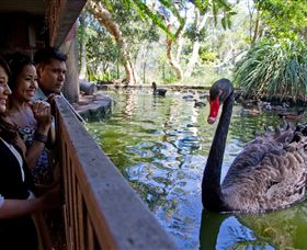 Nura Diya Aboriginal Wildlife Tour At Taronga Zoo - Darwin Holiday 3