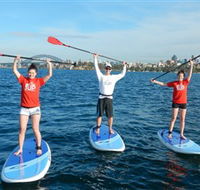 Sydney Scenic SUP - Stand Up Paddle Tours - Darwin Holiday