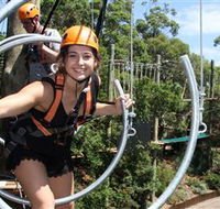Wild Ropes at Taronga Zoo - Darwin Holiday
