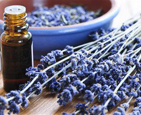 Pure Botanicals - Darwin Holiday 2