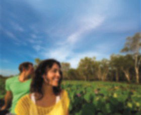 AAT Kings Guided Tours (Top End) - Darwin Holiday 3