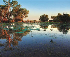 Inspiring Journeys - Darwin Holiday 0