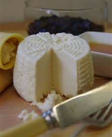 The Cheesemaking Workshop Sydney - Darwin Holiday 5