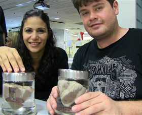 Museum Of Human Disease - Darwin Holiday 1