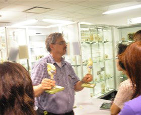 Museum Of Human Disease - Darwin Holiday 3