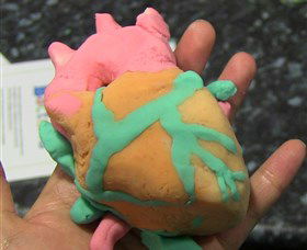 Museum Of Human Disease - Darwin Holiday 4