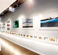 Aquabumps - Darwin Holiday