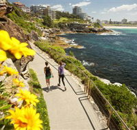 Bondi to Coogee Coastal Walk - Darwin Holiday
