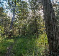 Wallumatta Nature Reserve - Darwin Holiday