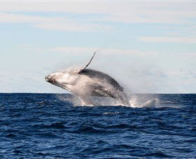 Manly Ocean Adventures - Darwin Holiday 4