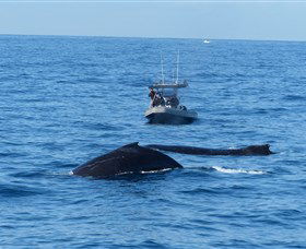Manly Ocean Adventures - Darwin Holiday 3