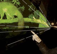 After Dark Nature Tours - Darwin Holiday