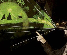 After Dark Nature Tours - Darwin Holiday 0
