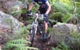Blue Mountains Mountain Bike Adventure Tour - thumb 1