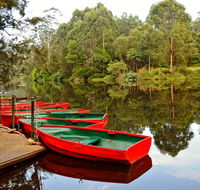 Lane Cove National Park - Darwin Holiday