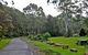 Lane Cove National Park - thumb 2
