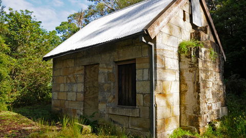 Lane Cove National Park - Darwin Holiday 1