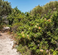 Henry Head walking track - Darwin Holiday