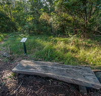 Browns Forest loop trail - Darwin Holiday