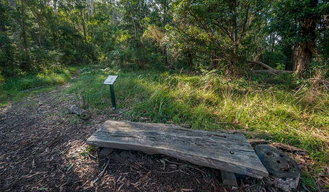 Browns Forest Loop Trail - Darwin Holiday 0