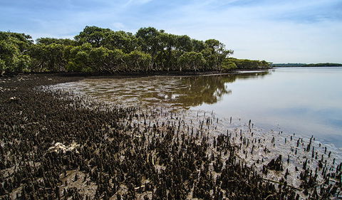 Towra Point Nature Reserve - Darwin Holiday 0