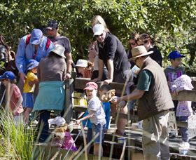 St Ives Precinct - Darwin Holiday 1