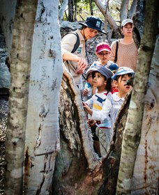 St Ives Precinct - Darwin Holiday 3