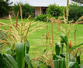 Experiment Farm Cottage - Darwin Holiday 4
