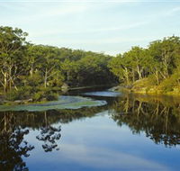 Lake Parramatta Reserve - Darwin Holiday